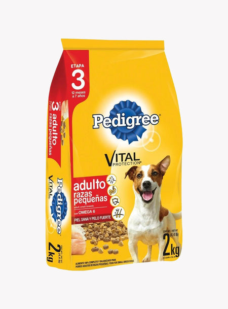 Indigo With Zip Dress